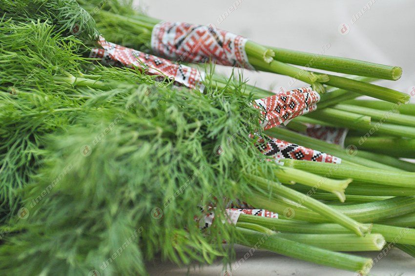 Днепропетровцев с истерикой и паникой ждут в центре города
