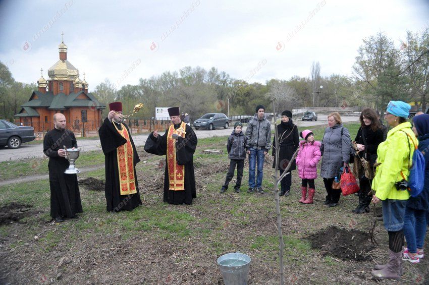 В Днепропетровске в память о погибших бойцах высадили первые деревья