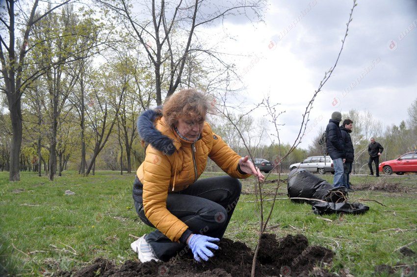 В Днепропетровске в память о погибших бойцах высадили первые деревья