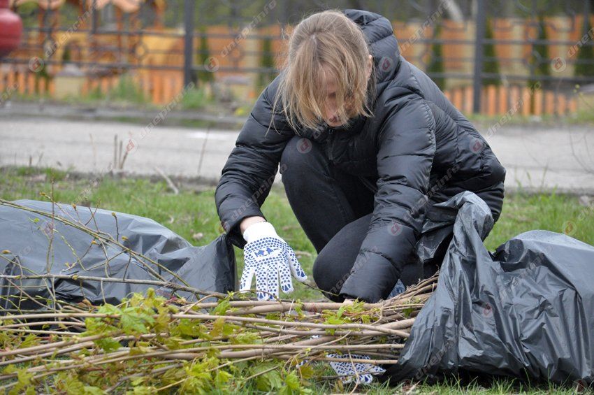 В Днепропетровске в память о погибших бойцах высадили первые деревья