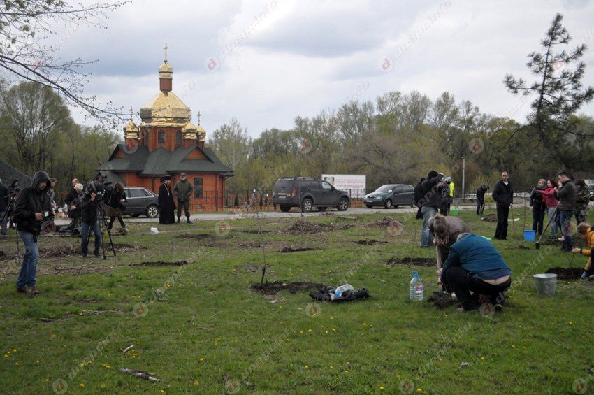 В Днепропетровске в память о погибших бойцах высадили первые деревья