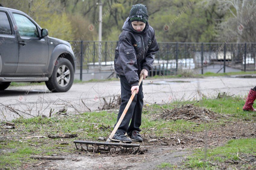 В Днепропетровске в память о погибших бойцах высадили первые деревья