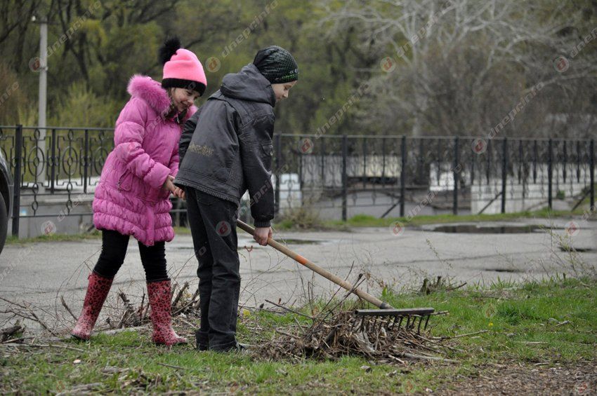 В Днепропетровске в память о погибших бойцах высадили первые деревья