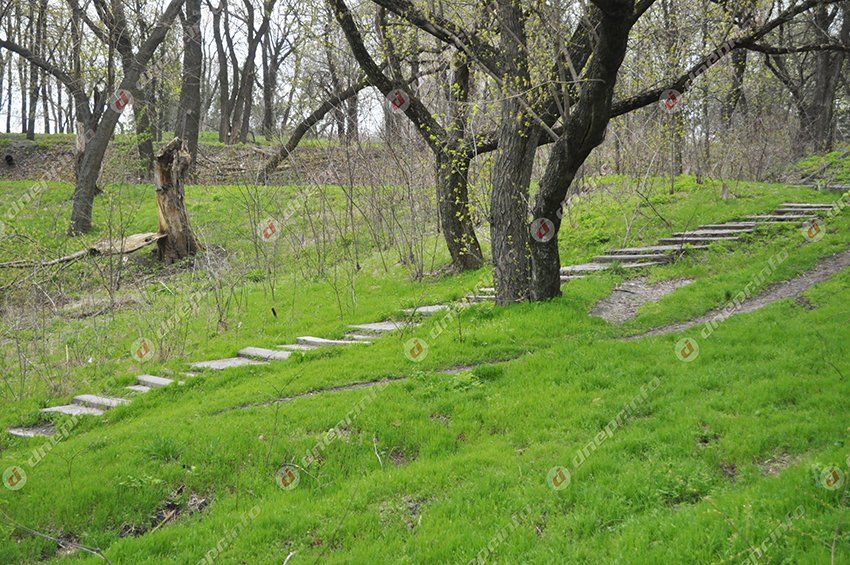 Зеленый театр, которого нет