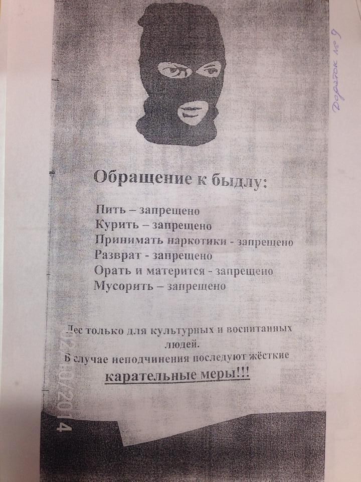 11358749_907825595946228_258311486_n