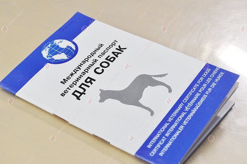 DSC_1411_-d