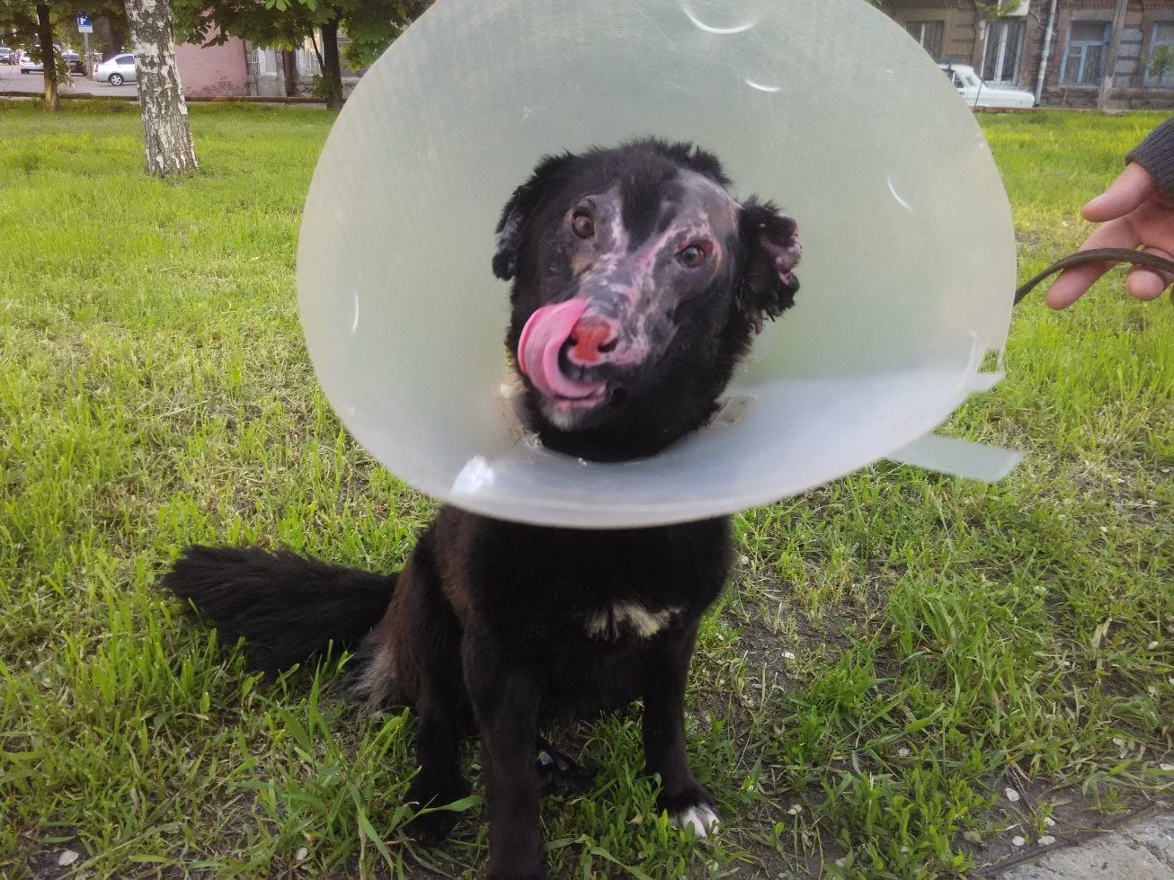 13161750_1079208215474374_4114447885710302851_o