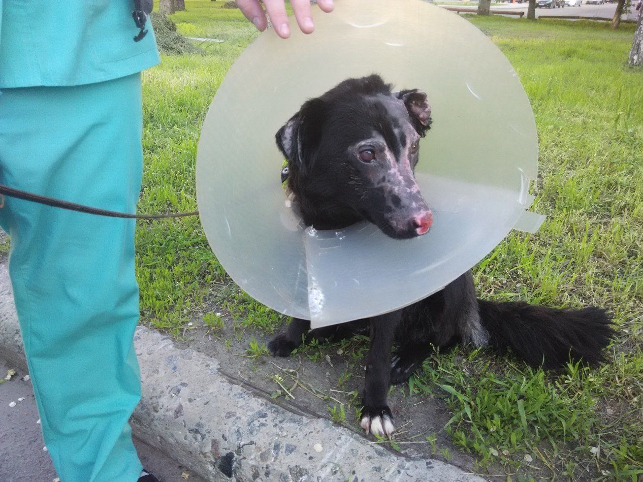 13161946_1079209175474278_8364766567033599206_o