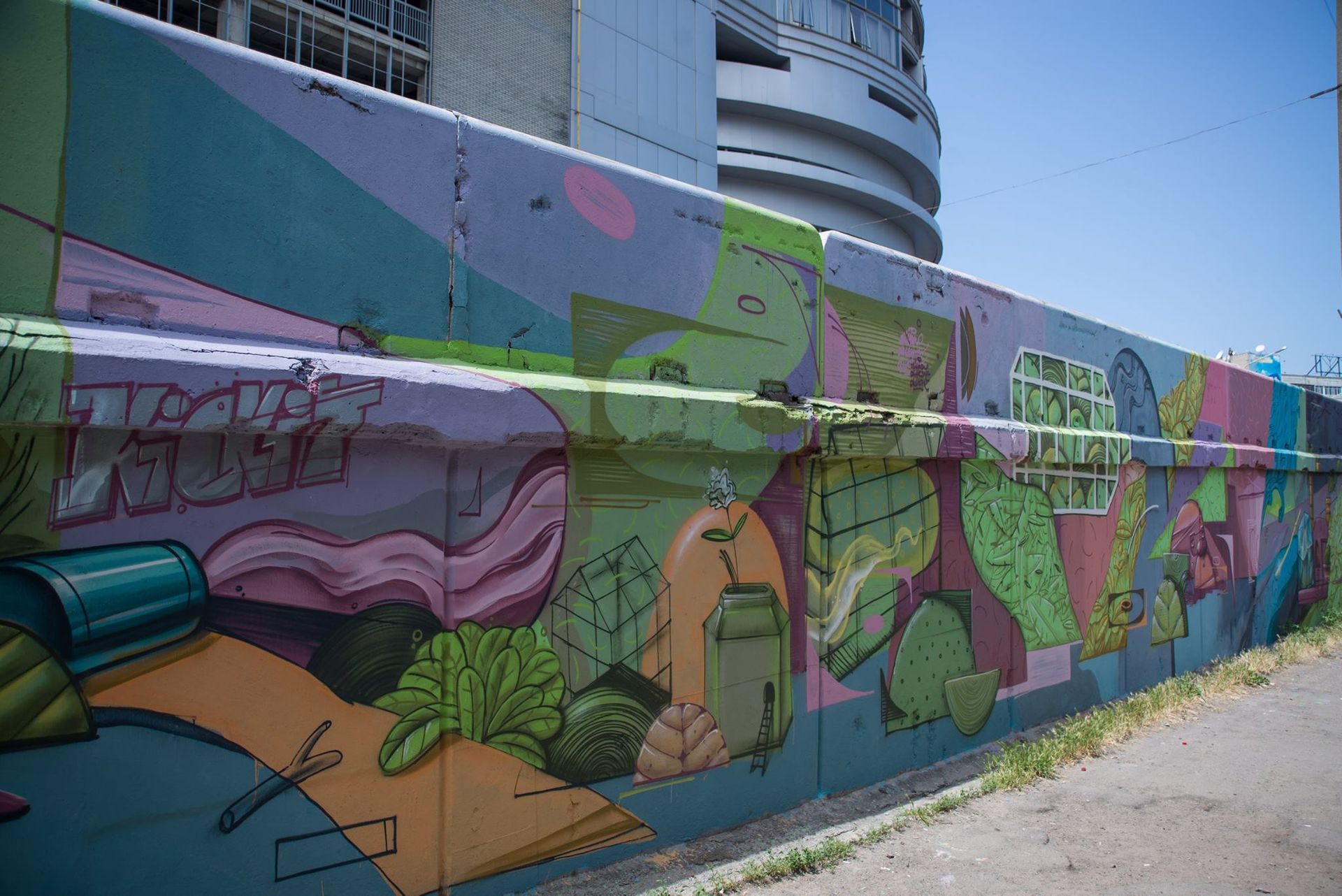 13490661_1009964079085550_8903492839738702918_o