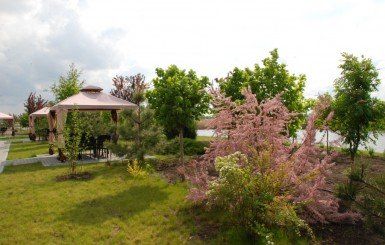 1f26401343b6d1778251e2ca13832969_385x245x1