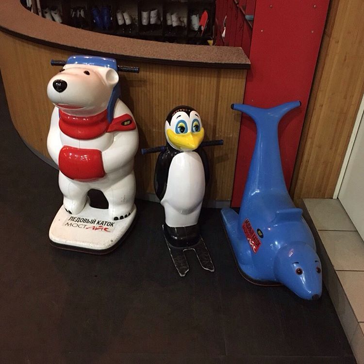 Центральный ледовый каток приглашает в гости!