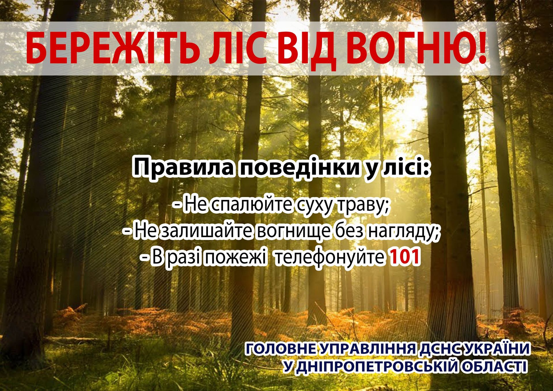 лес