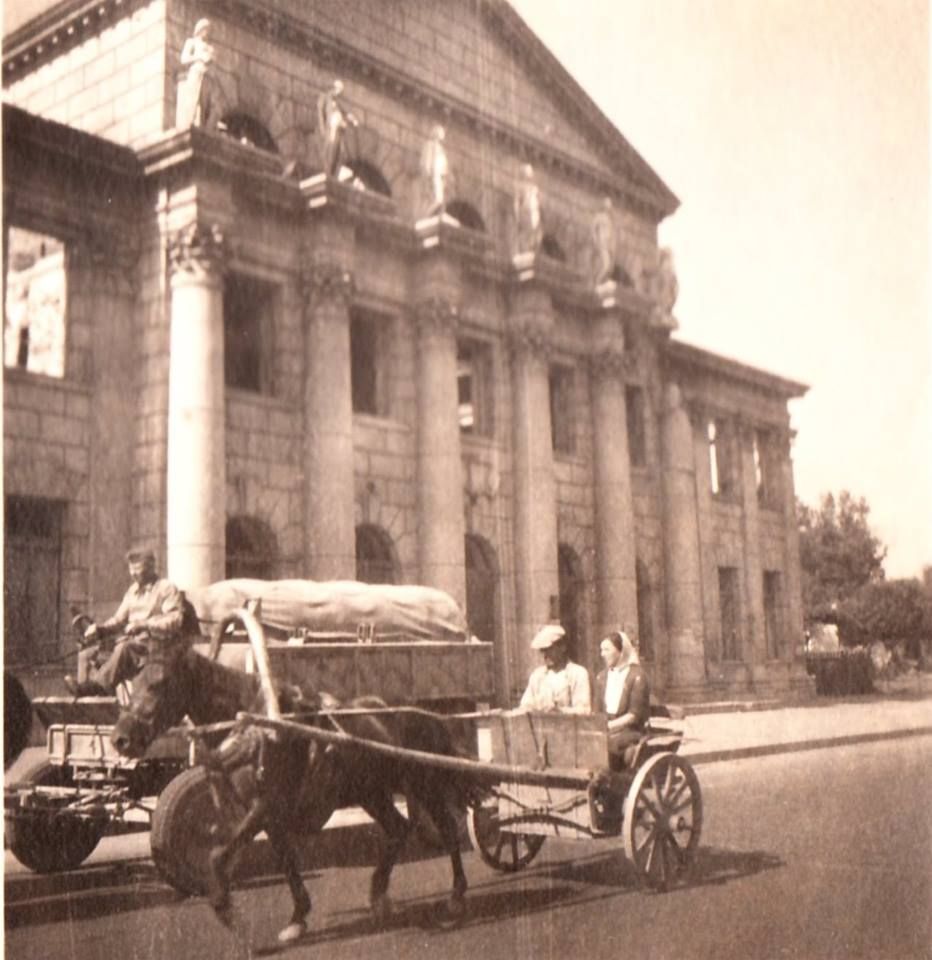 14390705_1658769147785524_5243077678610269522_n