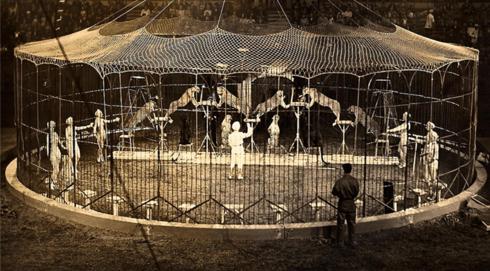 Цирк приехал, клоуны остались 