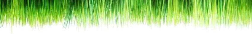 banner_gras (1)