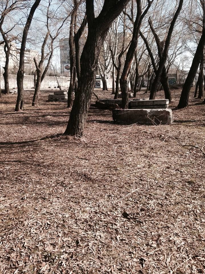 17191454_1234838829898398_2681531796973070730_n