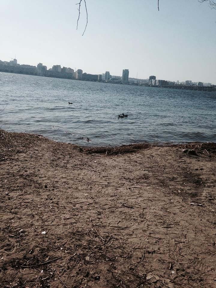 17203090_1234839003231714_5492211104705881423_n