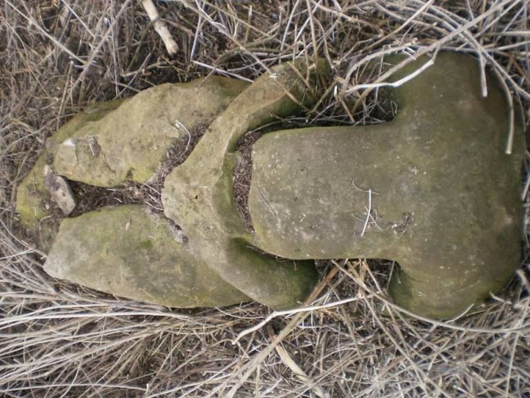 Половецький-ідол-2