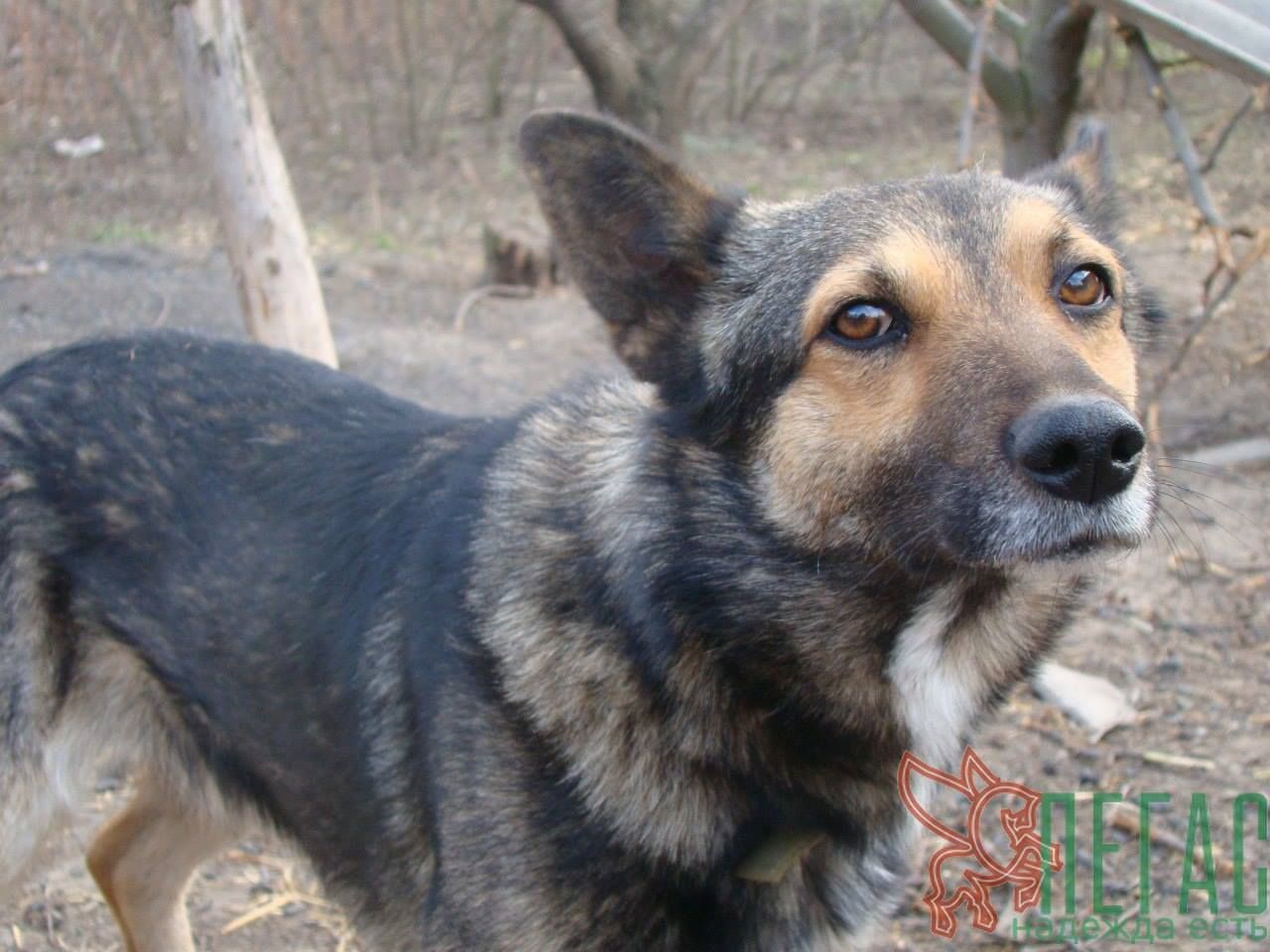 17758489_830746380409938_7380741026558424772_o