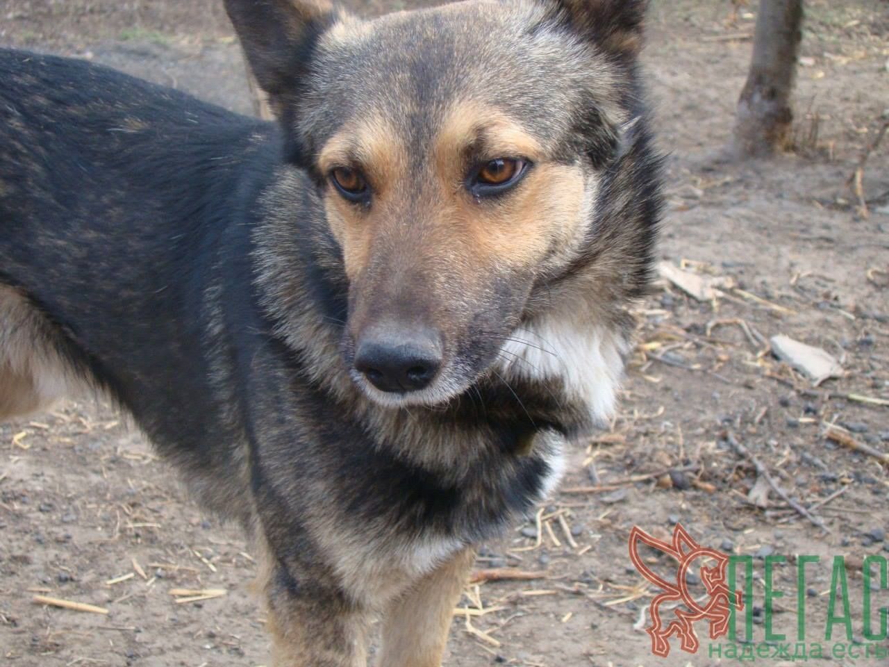 17760799_830746383743271_8277390252380441552_o