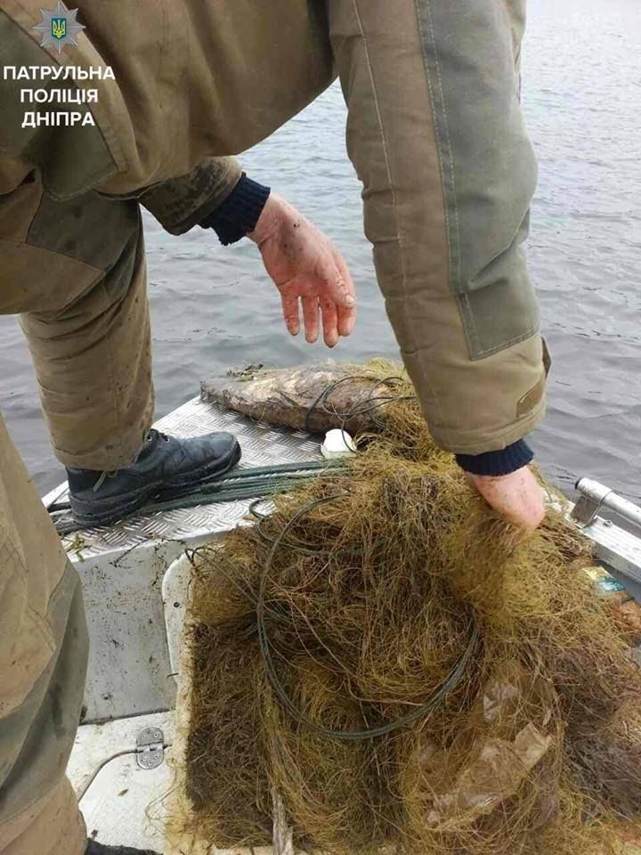 18447395_1882975231971002_3466240600765781849_n