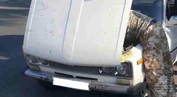 20246430_784096328417690_6112289419644995531_n