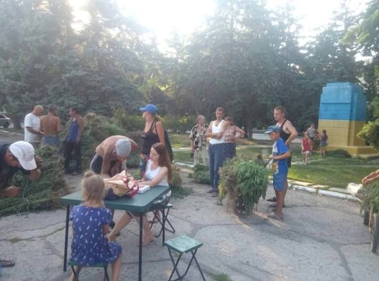 сбор-амброзии_Днепр-1