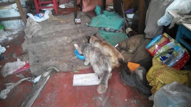 20728252_1282272648568017_3439754437458707411_n