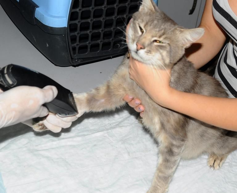 20776545_1282273388567943_7273710428877854326_o