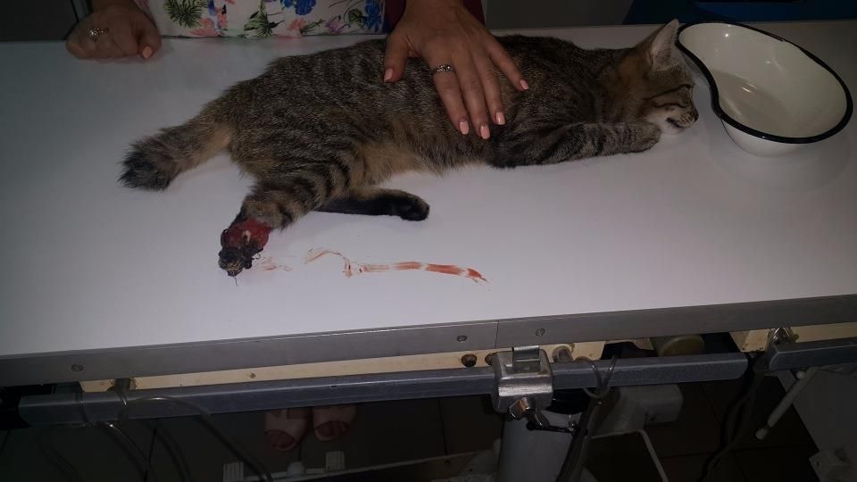 21151736_1637908966253172_5040786860455942903_n