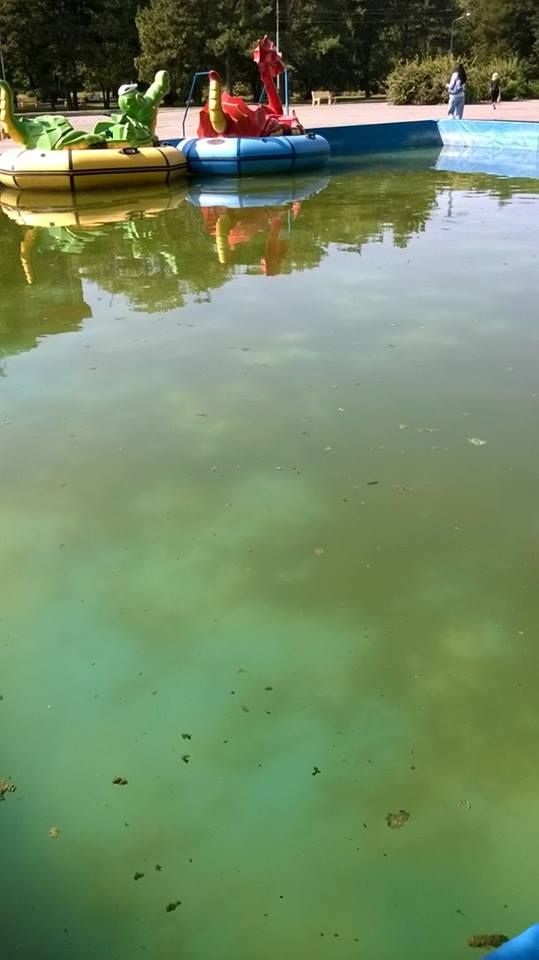 21740678_1875796746071801_1543176282500334133_n