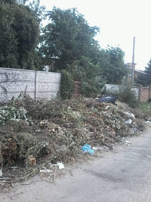 21751506_1922160544467410_3653932311730950703_n