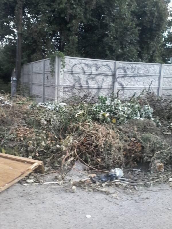 21751847_1922160534467411_7745976198951283438_n