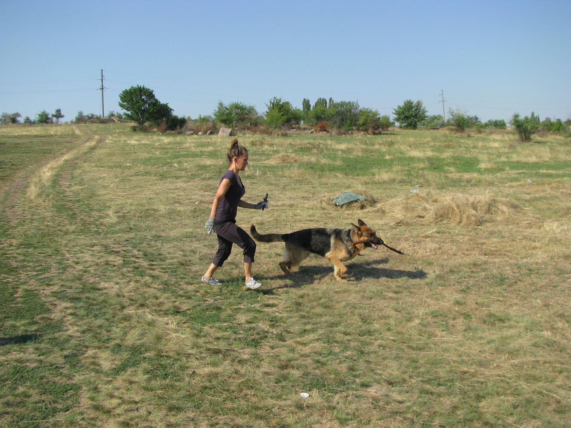 21752956_354090045023628_2509377846981011073_o