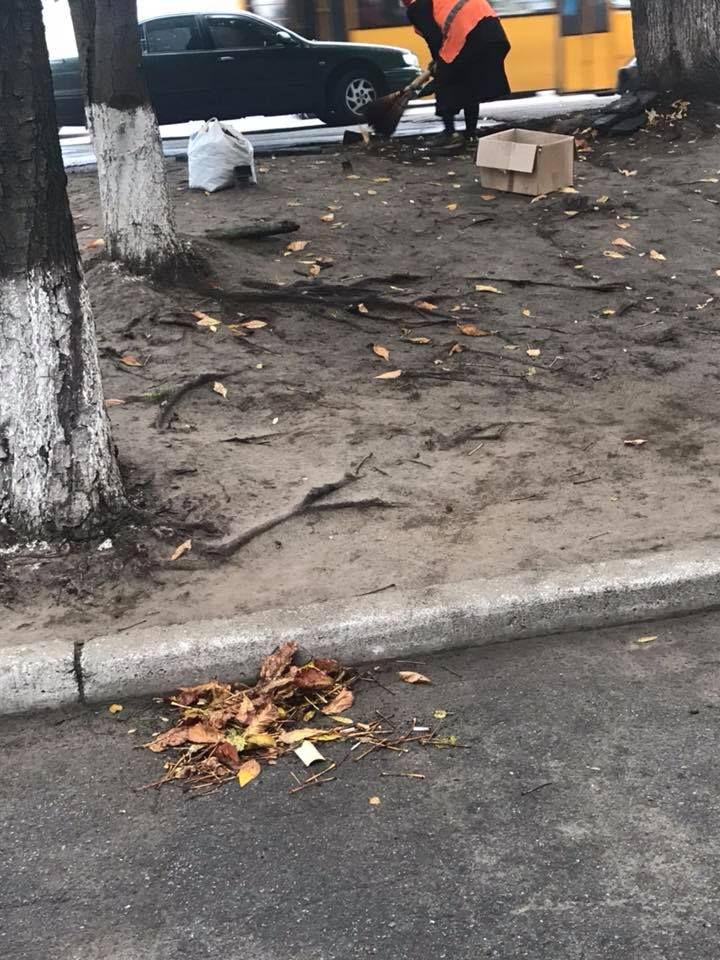 22528329_1978249982457018_8755976407349198042_n