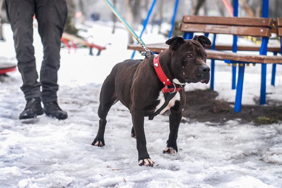 29196654_772150402982969_3107111502365065216_n