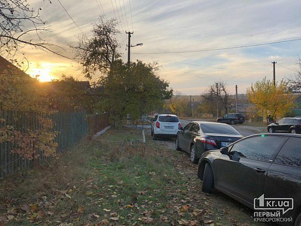 Найдено «кладбище» трупов во дворе частного дома