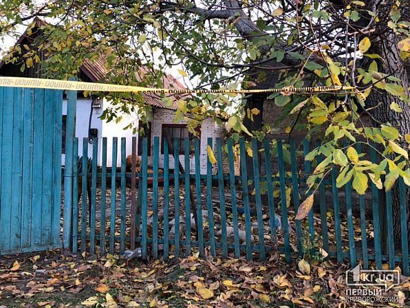 Найдено «кладбище» трупов во дворе частного дома