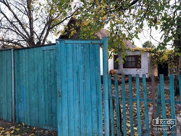 Найдено «кладбище» трупов во дворе частного дома