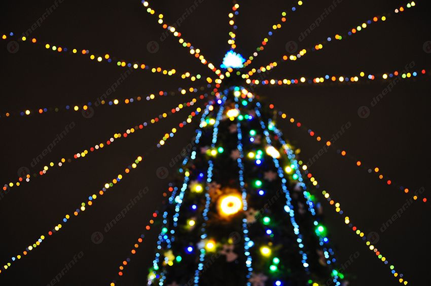 В Днепре открыли новогоднюю елку