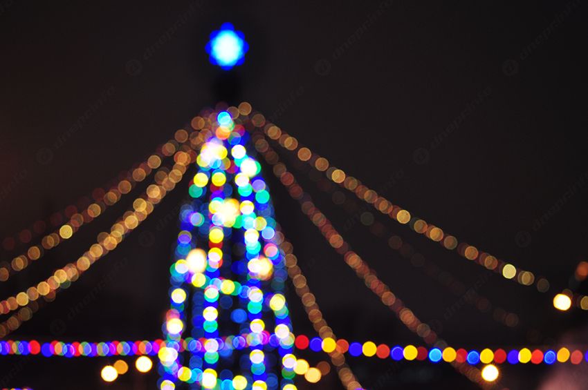 В Днепре открыли новогоднюю елку