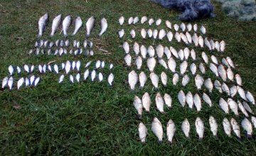 Убытки в более, чем 120 тысяч гривен за май: как браконьеры «разоряют» город. Новости Днепра