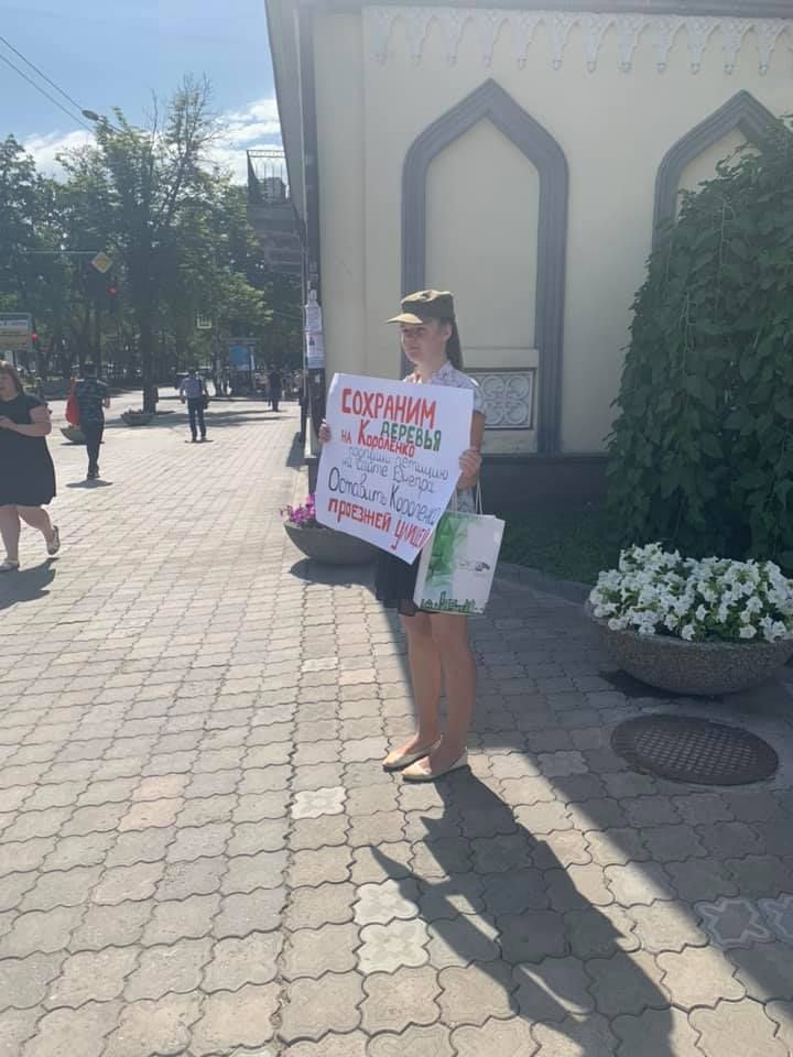 Вырубка деревьев на Короленко: новые протесты. Новости Днепра