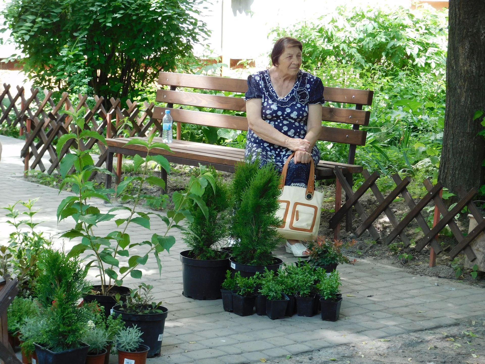 Самый интересный проект благоустройства в Днепре: отзывы участников. Новости Днепра