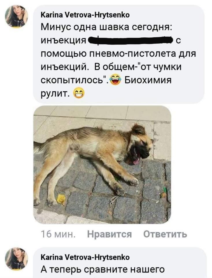 В Днепре вычислили догхантеров – зоозащитники призывают довести дело до конца