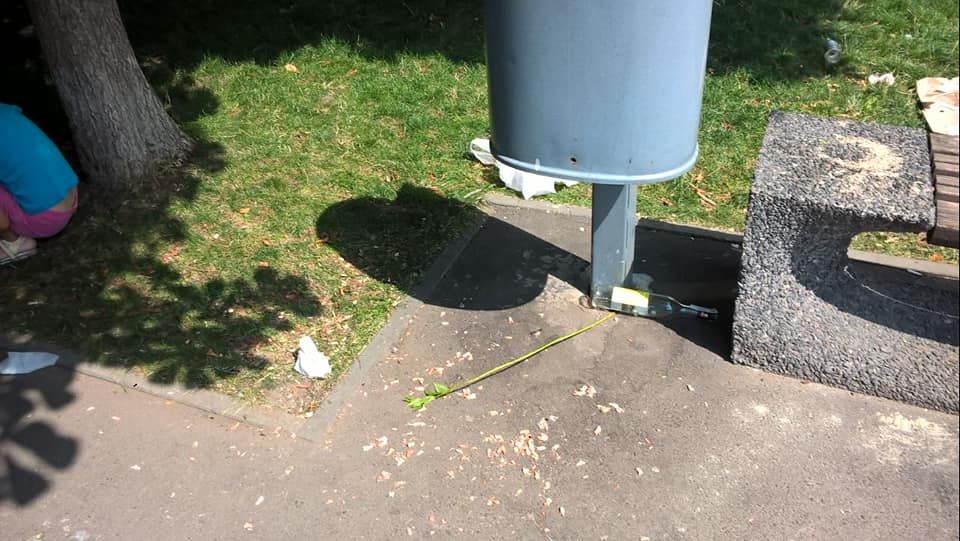 Коробка от пиццы, пустые бутылки и объедки прямо на газоне: детскую площадку в Днепре превратили в мусорный бак. Новости Днепра