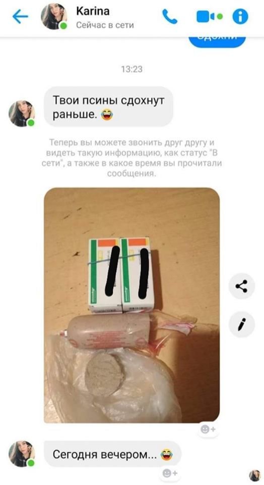 В Днепре вычислили догхантеров – зоозащитники призывают довести дело до конца