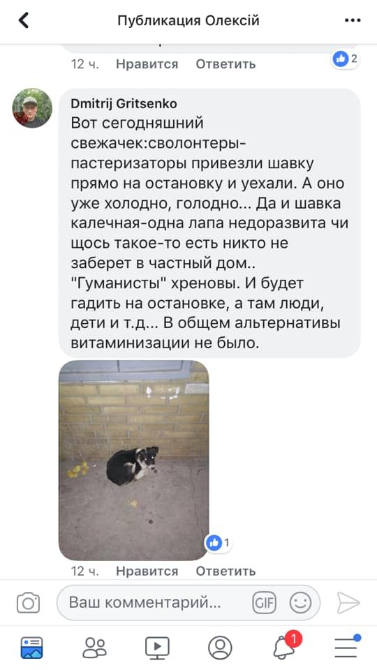 В Днепре вычислили догхантеров – зоозащитники призывают довести дело до конца