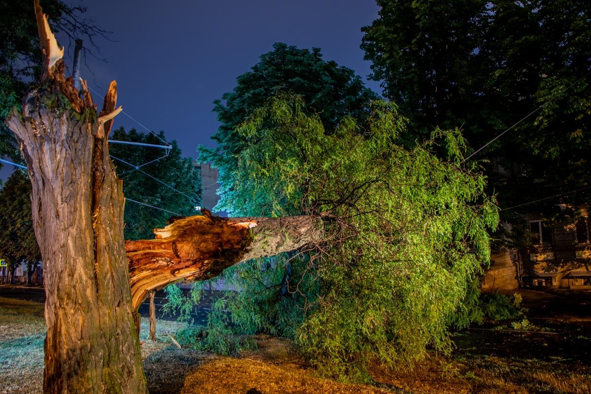 Последствия непогоды видны и сейчас: что успела натворить буря в Днепре. Новости Днепра