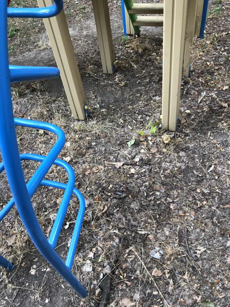 Памятник Славы и трущобы. Шокирующий вид дворов возле известного монумента.